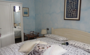 il grappolo maxsalute