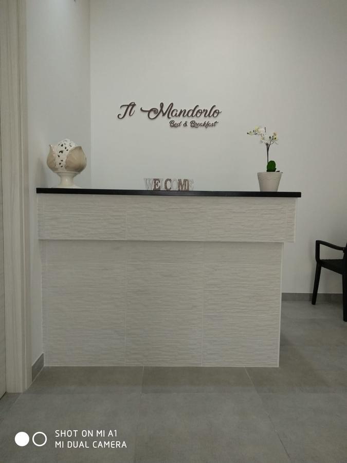 il mandorlo maxsalute